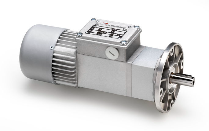 AC244PT Minimotor