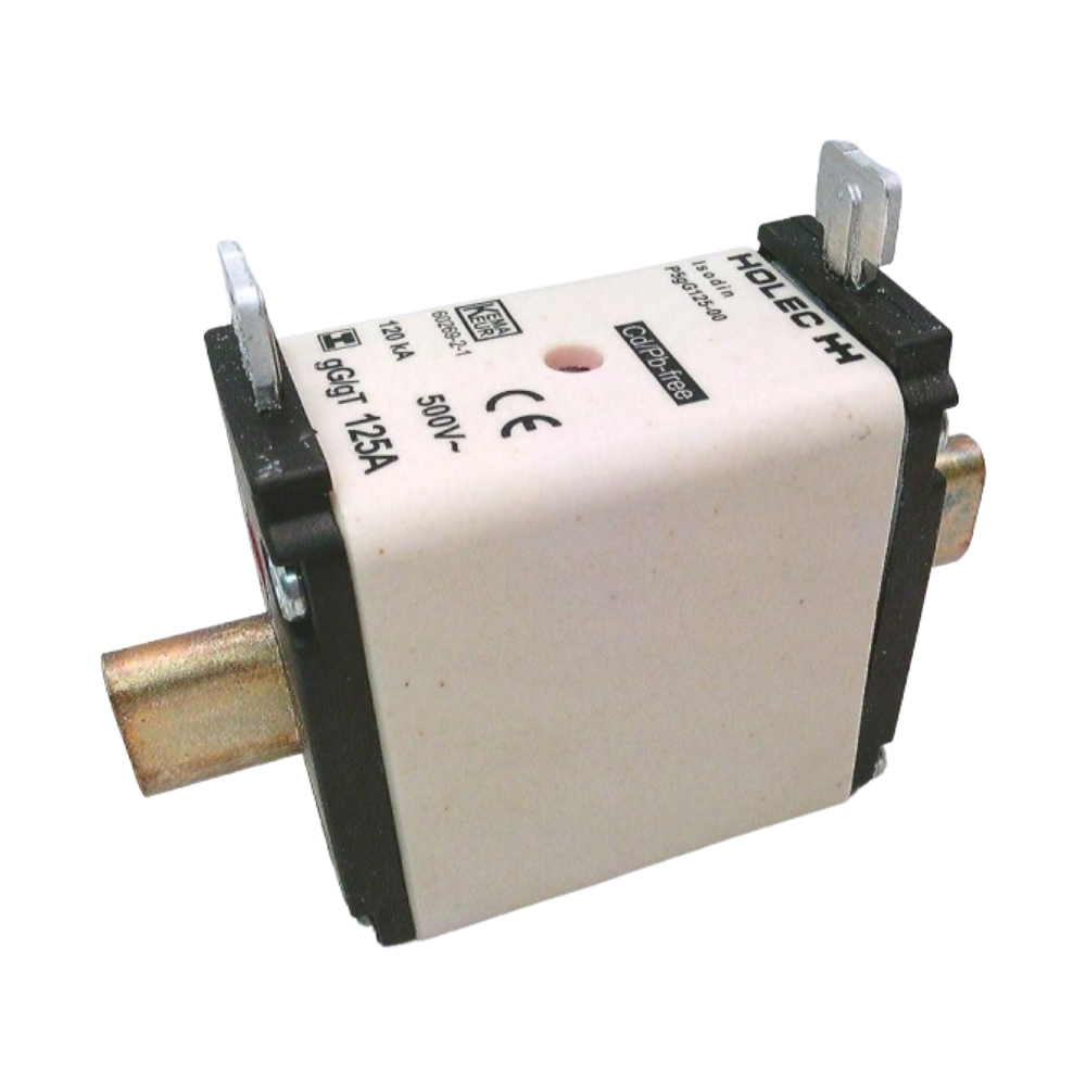 P5GG125-000 Holec