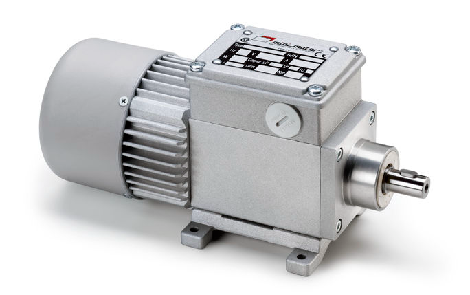 013V-D25 Micro Motors
