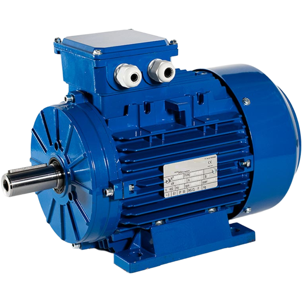 3SIE 225M-2 Cantoni Motor