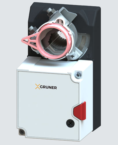 227-024-05-S1 Gruner